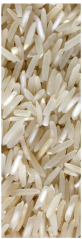 Quality rice